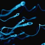 Spermiogramma Laboratorio Orlotti